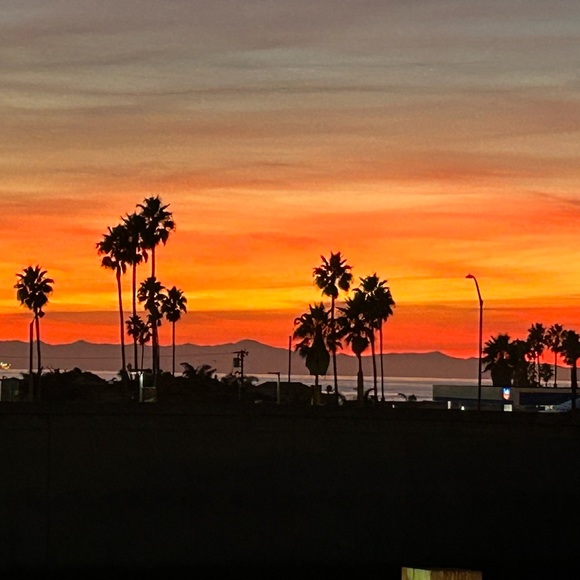 Meet the Posher, 4salebyMaggie - Picture 1 of 9